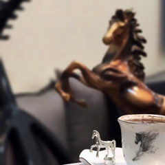 نايل العنزي