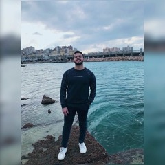 Omar Mohamed Elnaggar