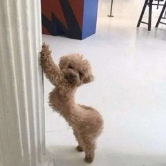 JayRaddy