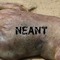 NEANT