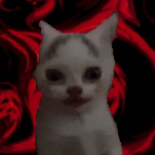 kxri4’s avatar