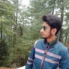 Amir Mehmood