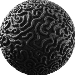 braincoral records