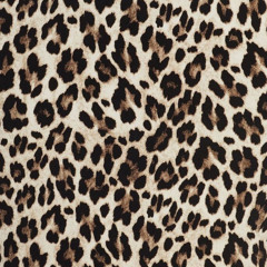 𝐴𝑢✞𝑢𝑚𝑛