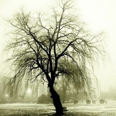 Through Mists