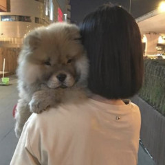 りり