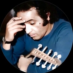 حامد القرشي