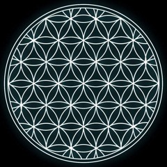 nerdmusicdotnet