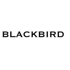 BlackBird_mvsic