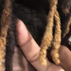 luv4clip