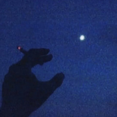 XZV SHOTTYY