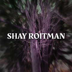 SHAY ROITMAN