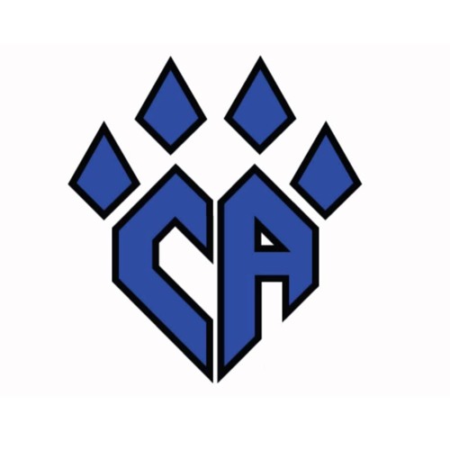 CA_slayyy’s avatar