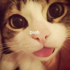 net>_<