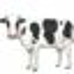 Barbara Fernandez 10