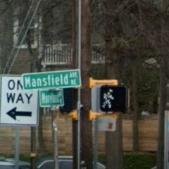 nothiefcanstealpuzzle