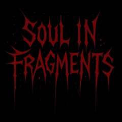 Soul in Fragments