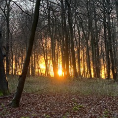 Then Alto Enhanced