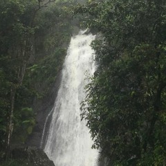 acrica <3