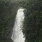 acrica <3