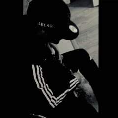 Leeko_Litty_Land