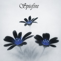 Spisfire