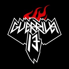 Guerrilla 13