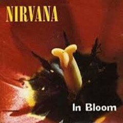 nirvana album archive