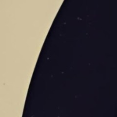 水