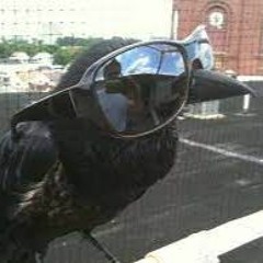 Dr. Raven