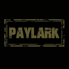 Pay Lark