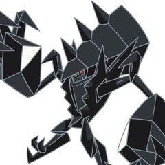 pokemon fan 225