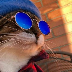 VidGuy20