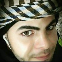 محمد حسن العناني