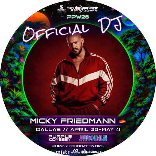 Micky Friedmann artist photo