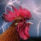 GreenHausThunderCock