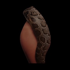 touch touch publishing