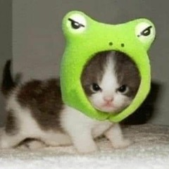 conbohihi