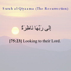 مصطفي الحفناوي