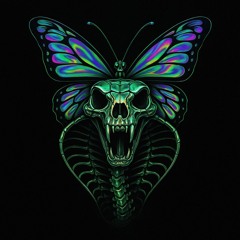 Jungle of Frequencies