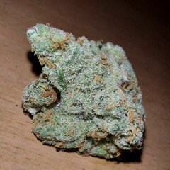 G.d.03
