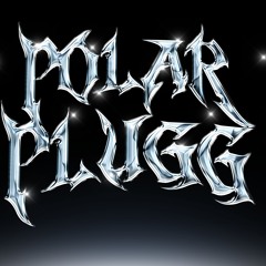 Polar Plugg