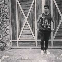 Toddyz_