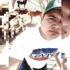 Houston Navarro
