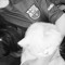 raghad