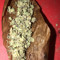 roll and chill