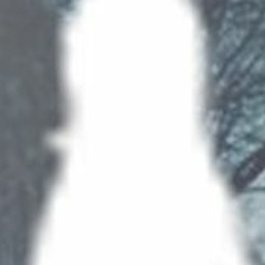 skin1710