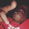 Dre #1