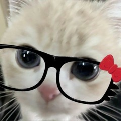 Lily ♡
