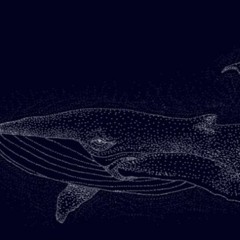 The Whale(FR)
